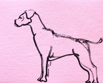 Pink Boxer Line Art by Santhosh ch