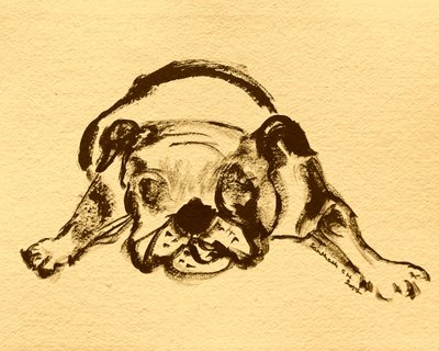 Playful Bulldog Sketch by Santhosh ch