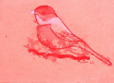 Red Bird on Branch by Santhosh ch
