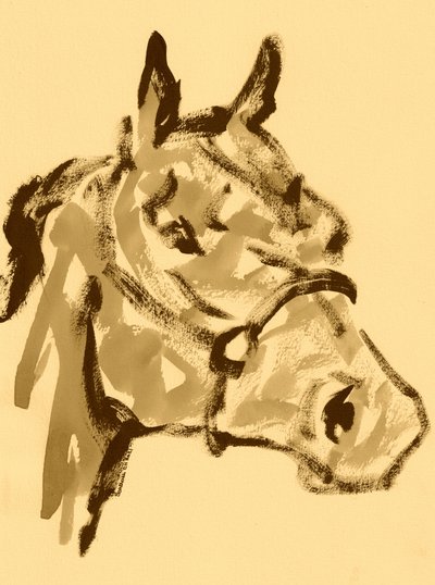 Sepia Horse Portrait by Santhosh ch