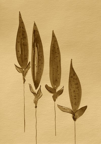 Sepia Watercolor Plants by Santhosh ch