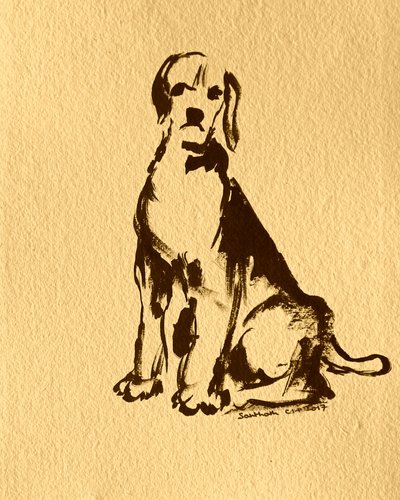 Sitting Beagle Sketch by Santhosh ch