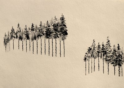 Stylized Pine Woods by Santhosh ch