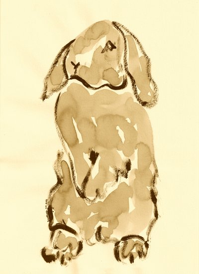 Sweet Bunny Drawing by Santhosh ch