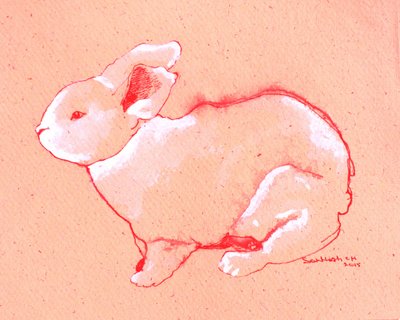 Sweet Little Rabbit by Santhosh ch