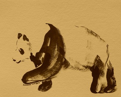 Sweet Panda Stroll by Santhosh ch
