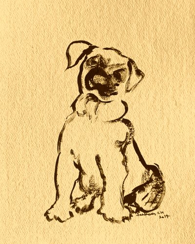 Sweet Puppy Sketch by Santhosh ch