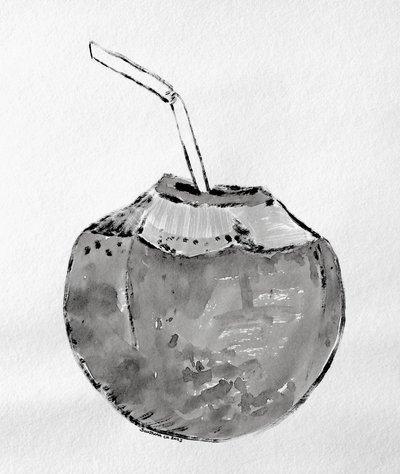 Tropical Coconut Drink by Santhosh ch