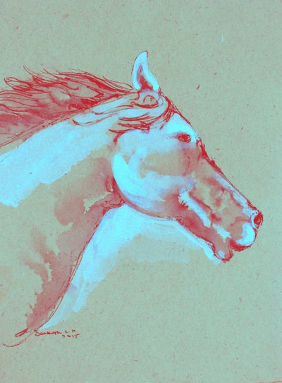 Vibrant Horse Head by Santhosh ch