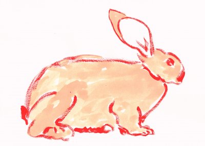 Warm Orange Rabbit by Santhosh ch
