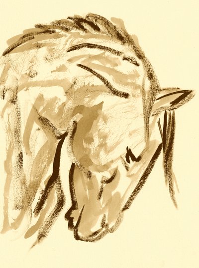 Wild Horse Sketch by Santhosh ch