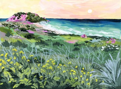 Wild Coast Sunset by Sarah Gesek