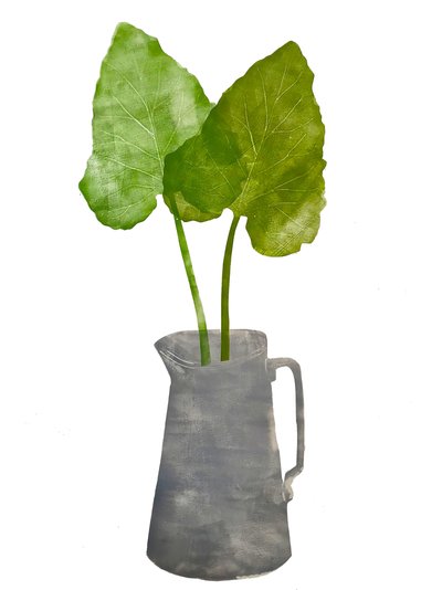 Grey Jug with Leaves by Sarah Thompson Engels