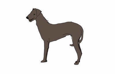 Hound, 2018 by Sarah Thompson Engels