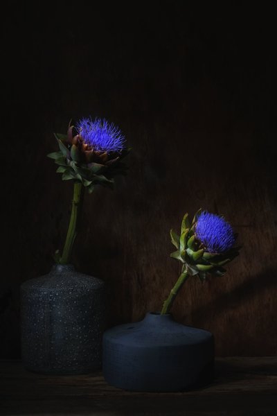 Dark Artichoke Blooms by Saskia Dingemans