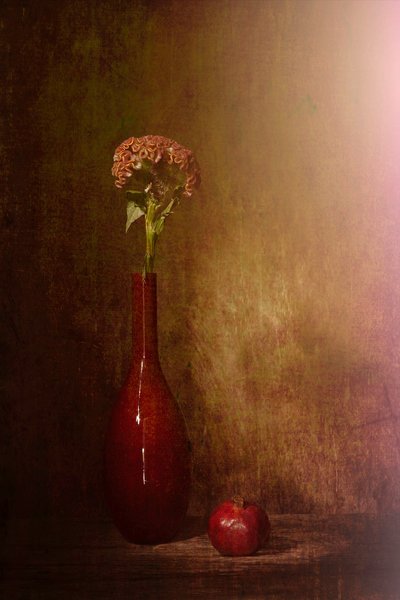 Dark Still Life Blooms by Saskia Dingemans