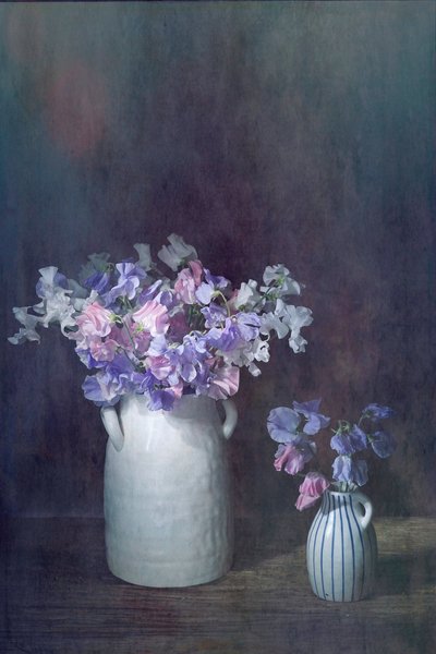 Delicate Sweet Peas by Saskia Dingemans