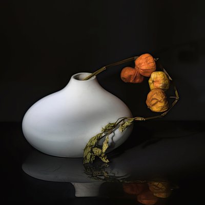 Elegant Physalis Still Life by Saskia Dingemans
