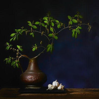 Greenery and Garlic Still Life by Saskia Dingemans