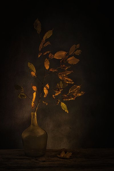 Moody Autumn Leaves by Saskia Dingemans