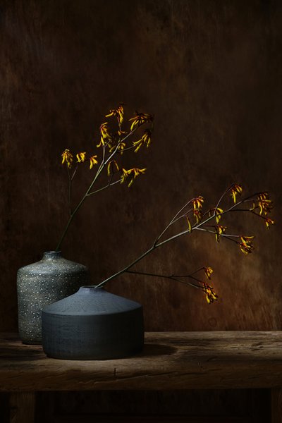 Moody Botanical Vases by Saskia Dingemans