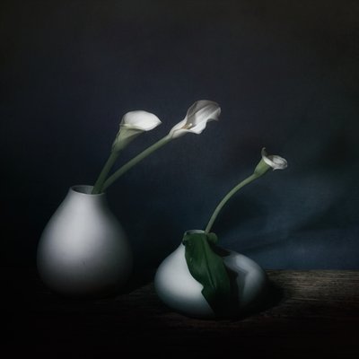 Moody Calla Blooms by Saskia Dingemans