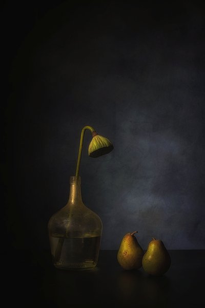 Moody Lotus and Pears by Saskia Dingemans
