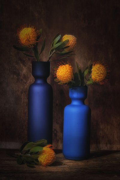 Orange Blooms in Blue by Saskia Dingemans