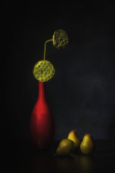 Red Vase Lotus Pears by Saskia Dingemans