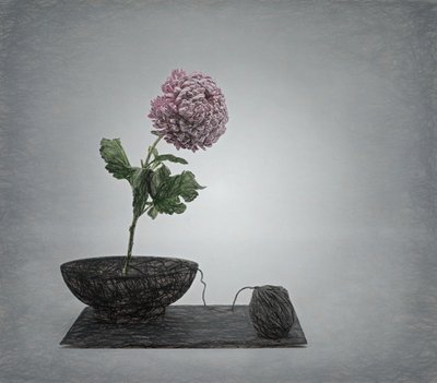 Textured Pink Flower Still Life by Saskia Dingemans
