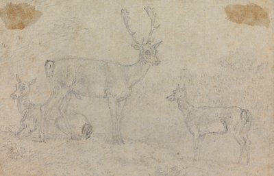 A Buck and Two Deer by Sawrey Gilpin