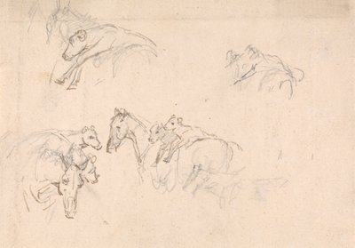 Study of Horses Carrying Calves on their Backs by Sawrey Gilpin