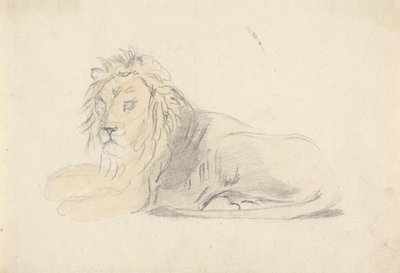 Study of a Lion by Sawrey Gilpin