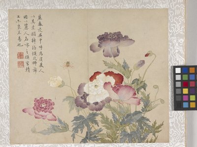 8 Leaf Album of Flowers, mid 1700s by School Chinese