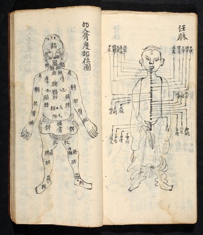 Acupuncture points along the central line of the body, from Jing Guan Qi Zhi, 