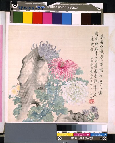 Album of Flowers and Birds by School Chinese