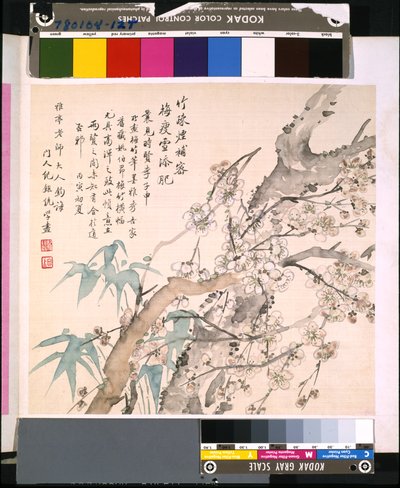 Album of Flowers and Birds, Date Unknown by School Chinese