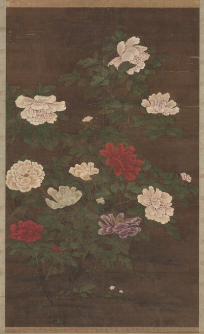 Peonies by School Chinese