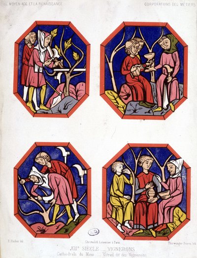 Corporation des vignerons - stained glass of the winemakers of the Cathedrale du Mans by School French