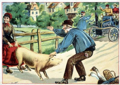 Pig that refuses to move forward and that bars the road to an automobile - drawing by School French
