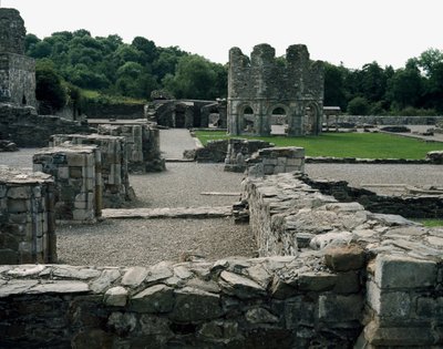 Mellifont Abbey near Drogheda by School Irish