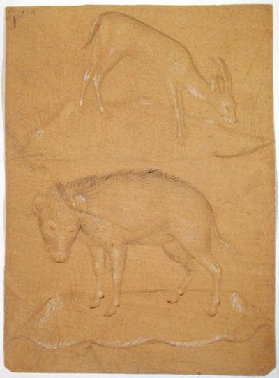 Study of a Goat and a Boar by School Italian