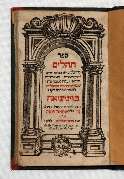 Book of Tehilim by School Jewish