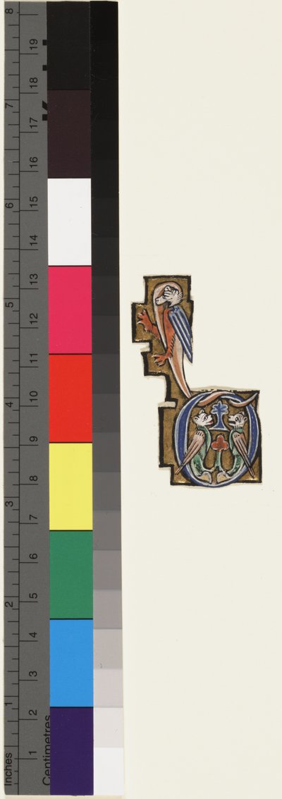 Initial D, from a Psalter-Hours, c.1270 by School Mosan