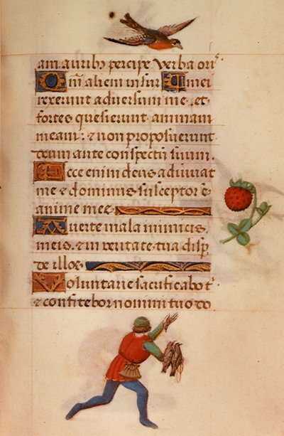 Man with hawks, from 