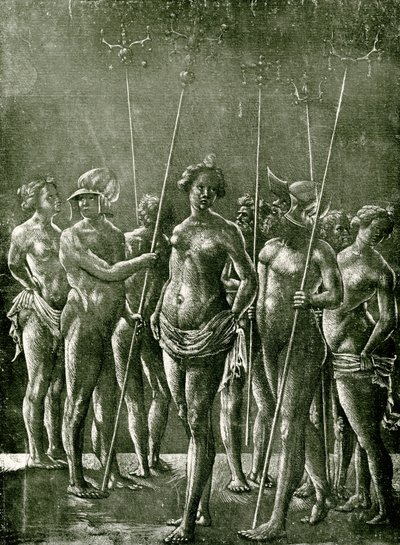 Unknown Illustration after an Italian Example by School Netherlandish