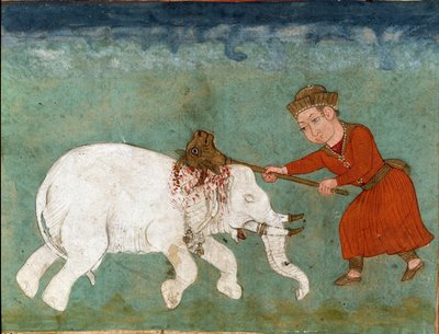 Rostam Kills the White Elephant from Shahnameh by School Persian