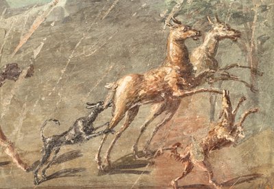Loves while hunting, Herculaneum by School Roman