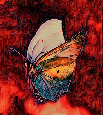 Butterfly, 2021 by Scott J. Davis