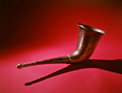 Drinking horn with a lions head finial by Scythian